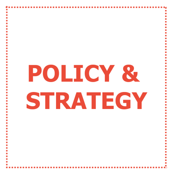 Headshot of Policy & Strategy