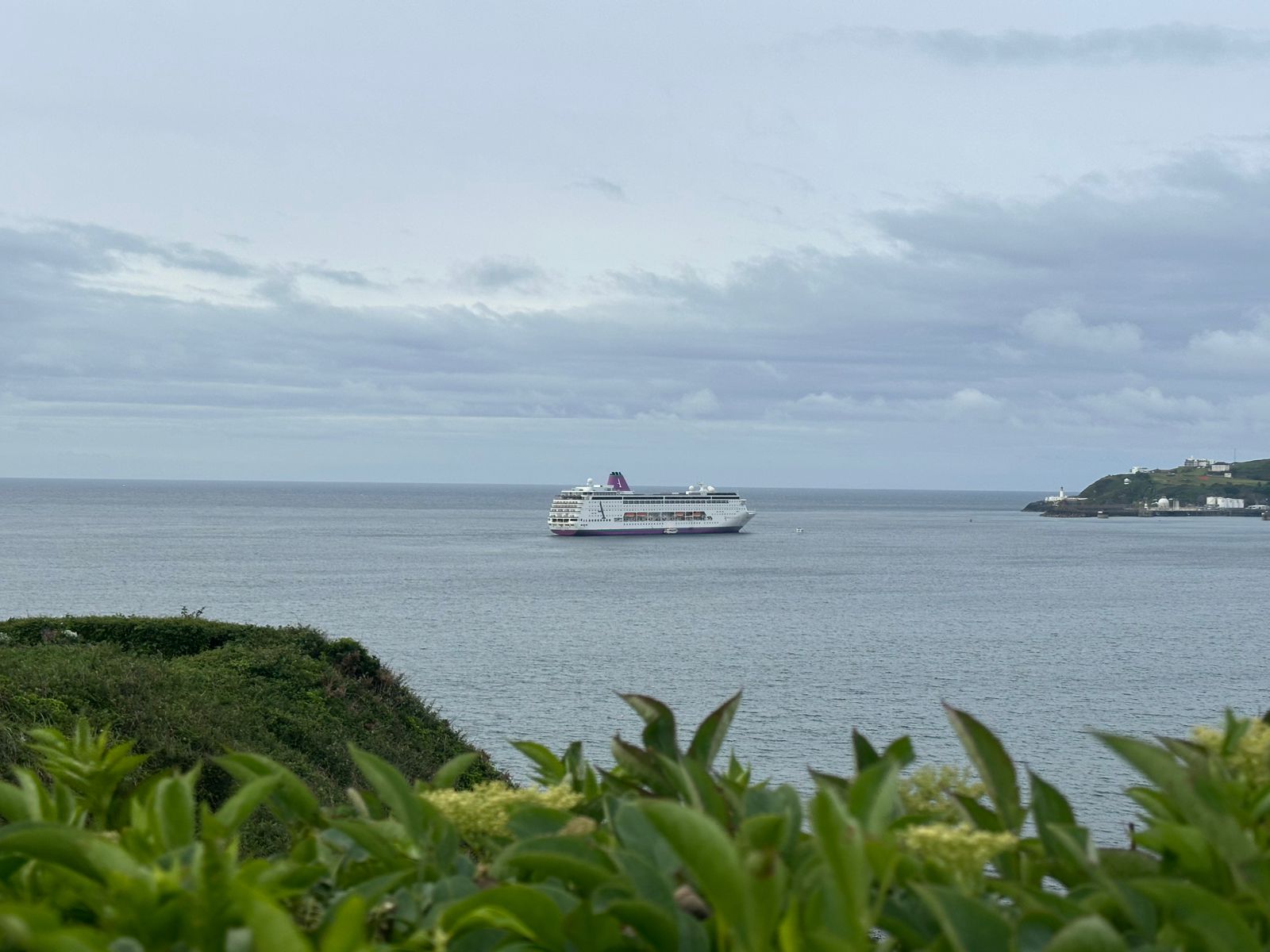Cruise May 2025